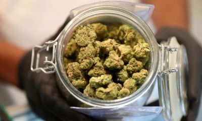 Etats américains qui peuvent légaliser le cannabis en 2021