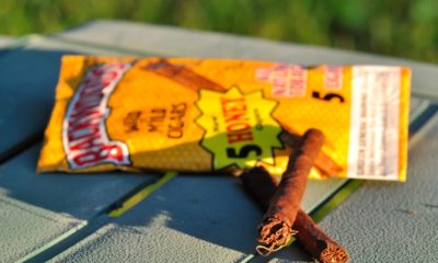 Interdiction des Backwoods aux USA