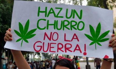 Cannabis au Mexique