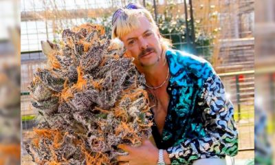 La Weed de Joe Exotic