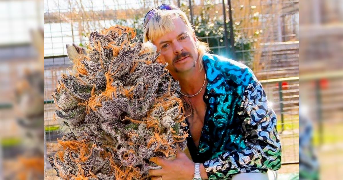 La Weed de Joe Exotic