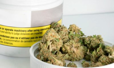 Fleur de cannabis médical en Allemagne