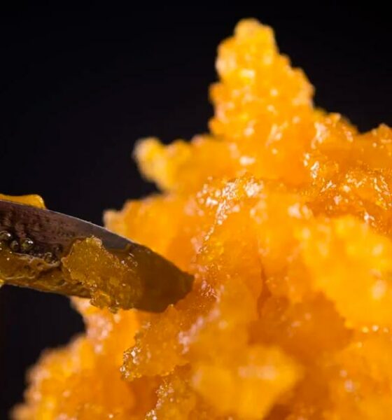 Live resin de cannabis