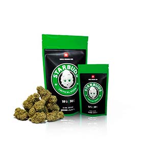 Critical Kush CBD