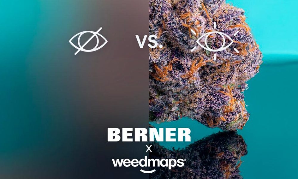 Berner lance Social Club, l'Instagram de la weed Newsweed