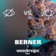 Berner et Weedmaps lancent leur réseau social