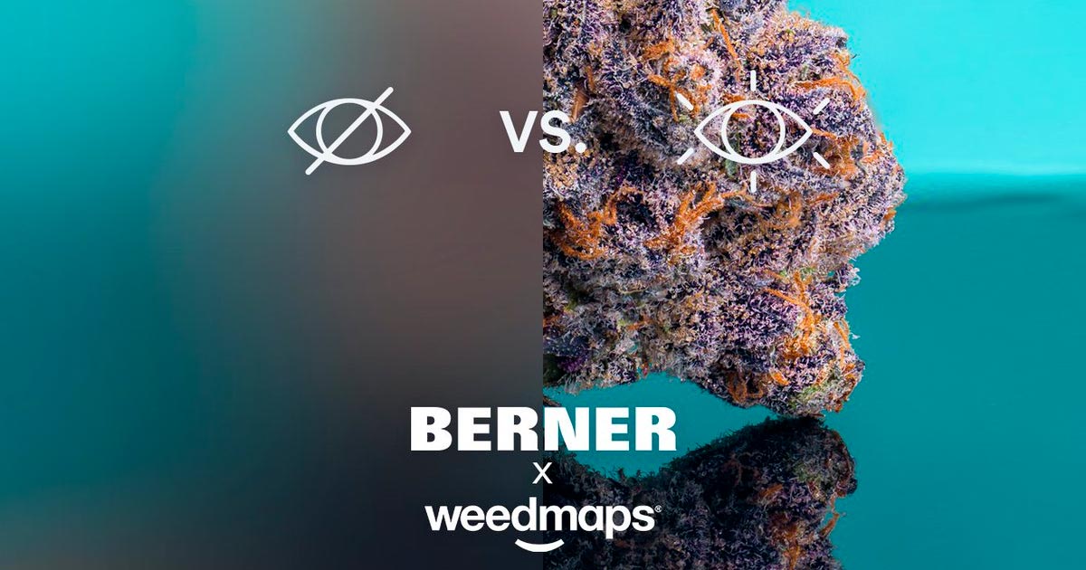 Berner et Weedmaps lancent leur réseau social