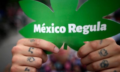 Légalisation du cannabis au Mexique en 2021