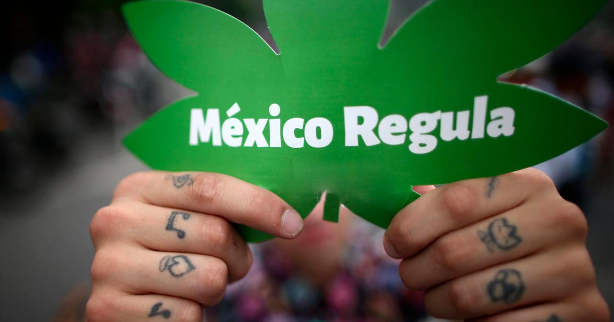 Légalisation du cannabis au Mexique en 2021