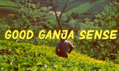 Good Ganja Sense