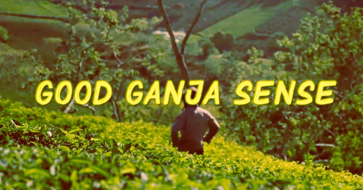 Good Ganja Sense