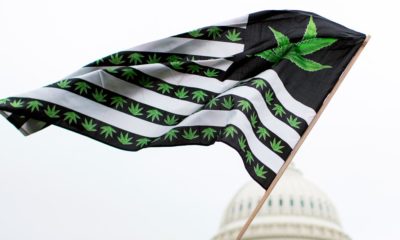 Etats américains qui pourraient légaliser le cannabis en 2022