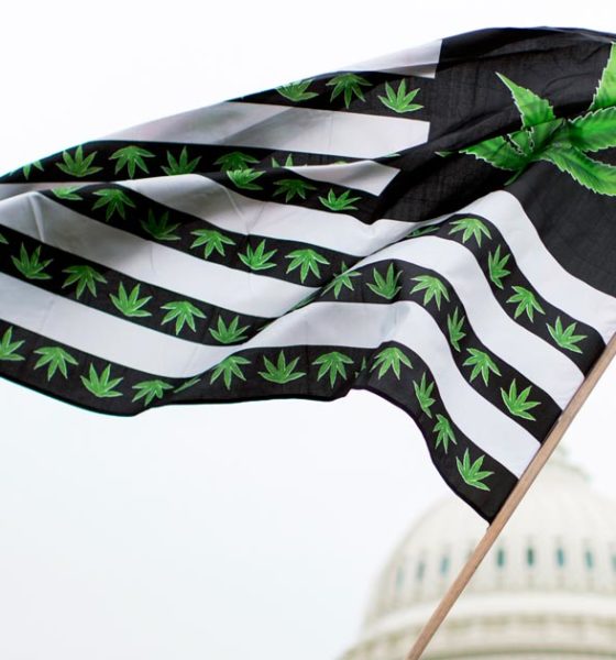 Etats américains qui pourraient légaliser le cannabis en 2022