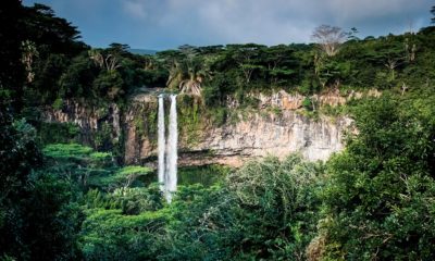 Cannabis médical sur l'île Maurice