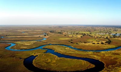 Cannabis médical au Botswana