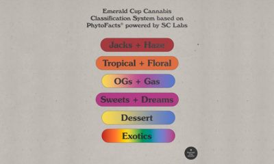 Classification des variétés de cannabis à l'Emerald Cup