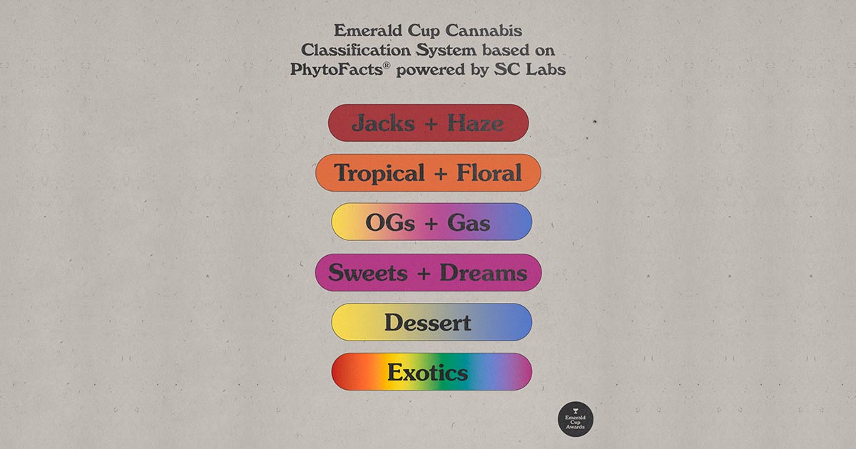 Classification des variétés de cannabis à l'Emerald Cup