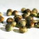 Meilleures graines de cannabis