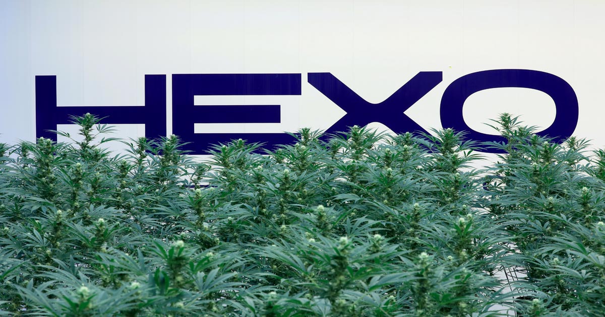 Hexo et Tilray