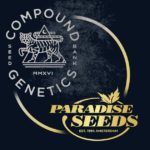 Paradise Seeds and Compound Genetics
