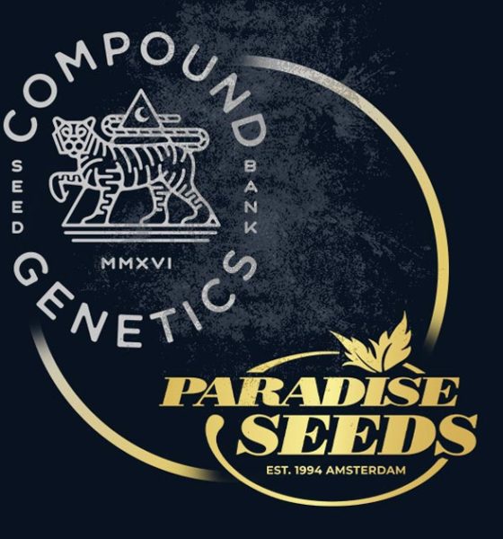 Paradise Seeds et Compound Genetics