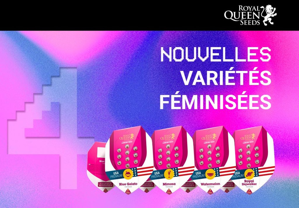 Variétés féminisées