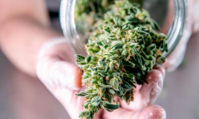 Le cannabis médical vendu en Grèce en 2022
