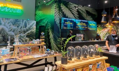 Prix de la weed dans les magasins légaux