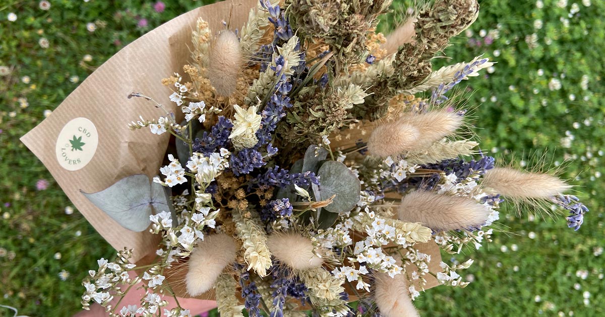 Bouquet de fleurs de chanvre