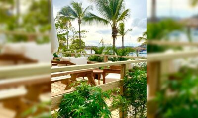 Cannabis lounge aux Grenadines