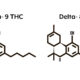 Delta-8-THC illégal en France