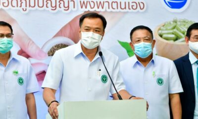 Huile de cannabis gratuite en Thaïlande