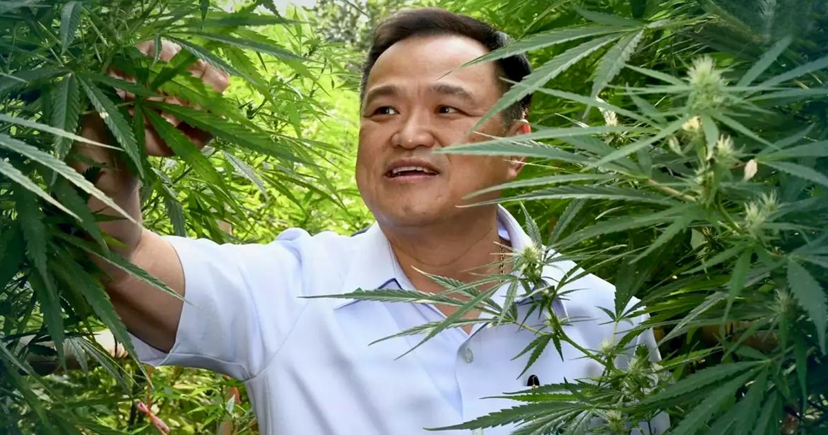 Le ministre de la Santé Thaïlandais dans son jardin