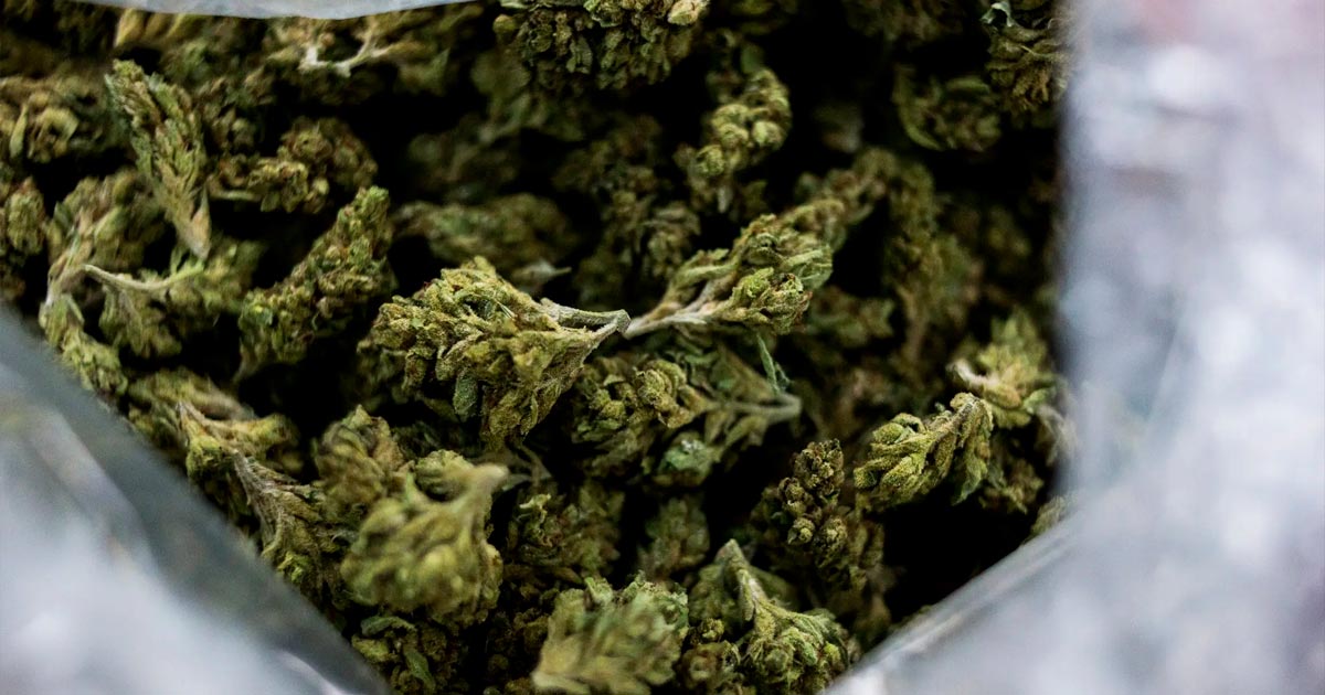 Achat illégal de cannabis