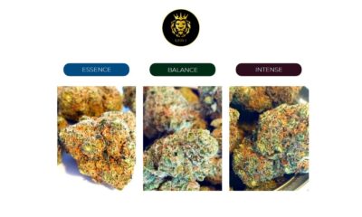 Lion1 CBD