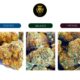 Lion1 CBD
