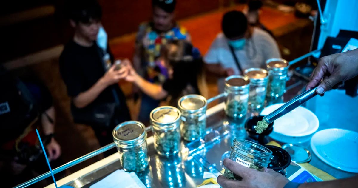 Usage de cannabis en Thaïlande