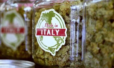 Autoproduction de cannabis en Italie