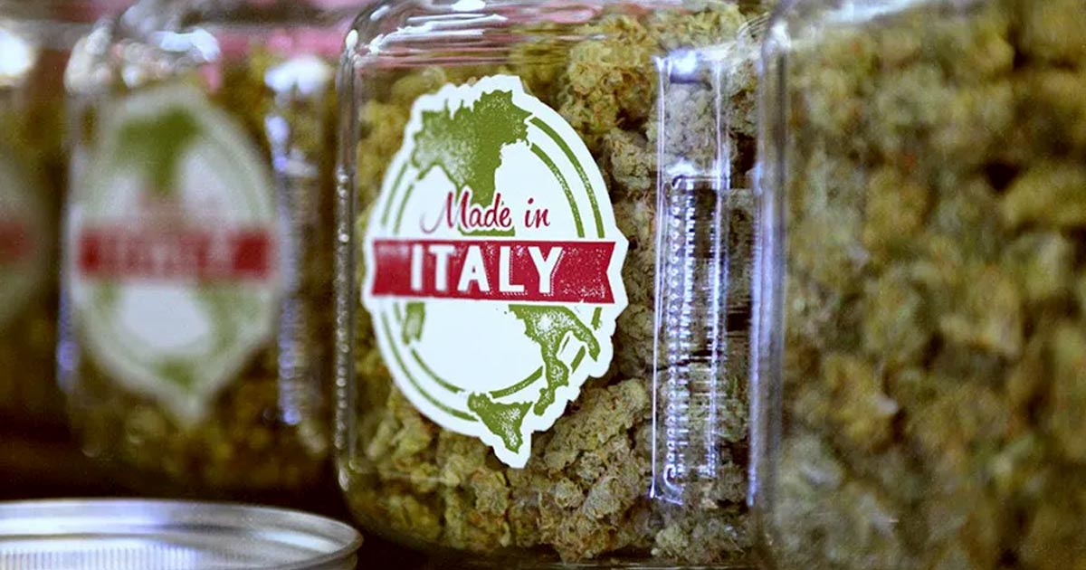 Autoproduction de cannabis en Italie