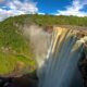 Chanvre au Guyana