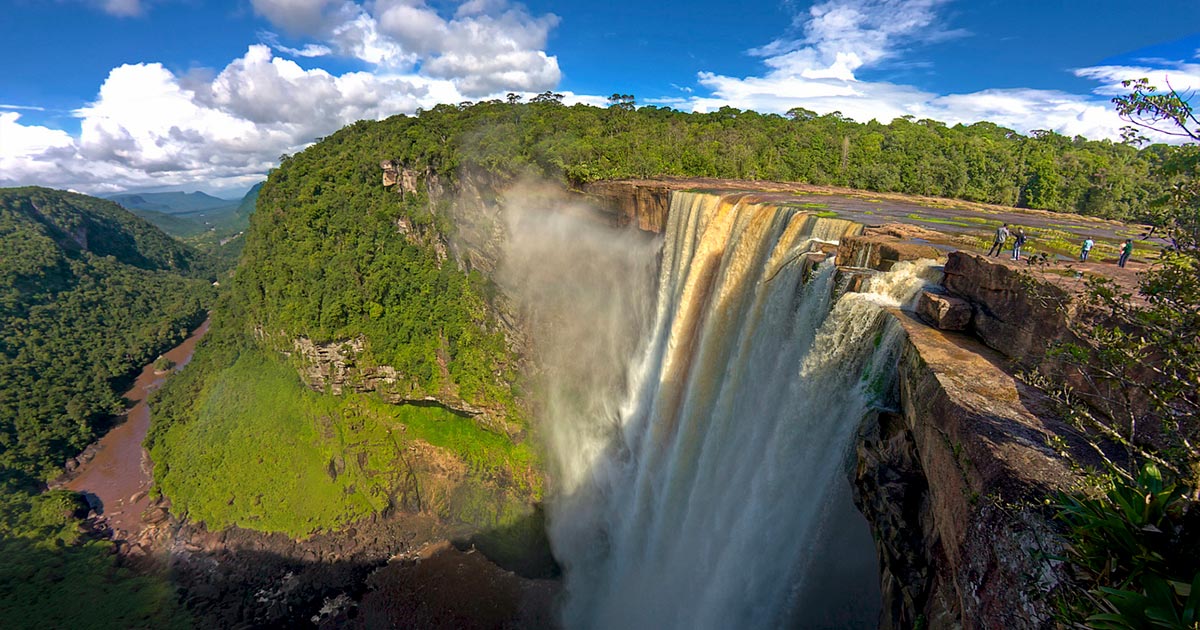 Chanvre au Guyana