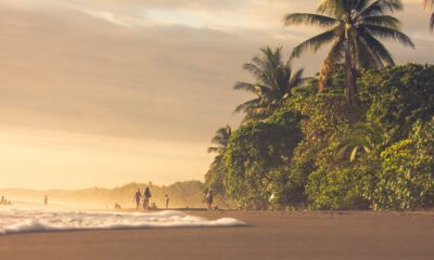 Légalisation du cannabis au Costa Rica