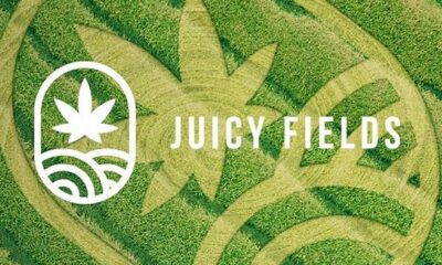 Juicy Fields arnaque