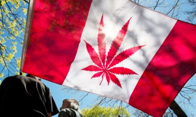 Bilan de la légalisation du cannabis au Canada