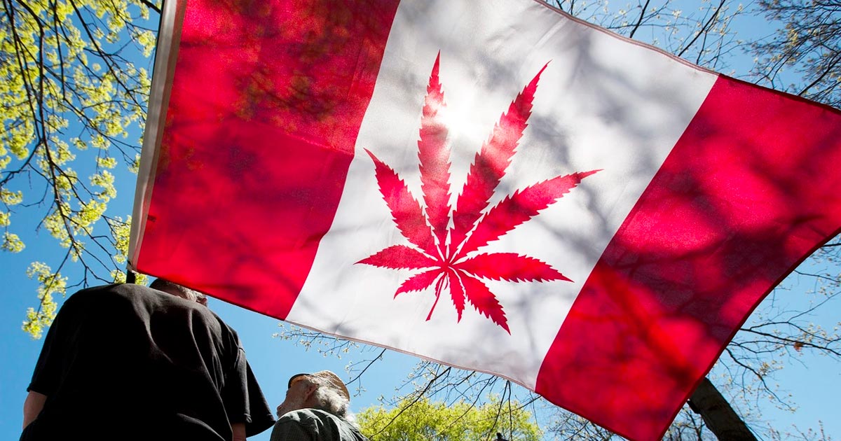 Bilan de la légalisation du cannabis au Canada