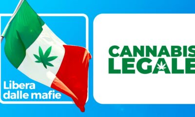 Perspectives de légalisation du cannabis en Italie