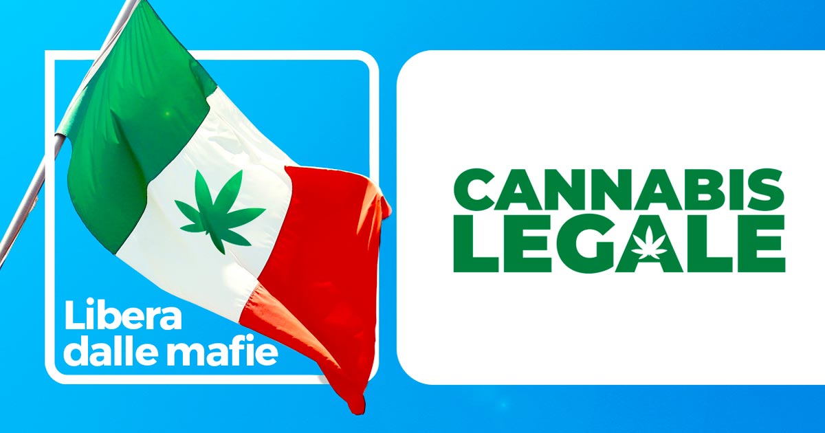 Perspectives de légalisation du cannabis en Italie