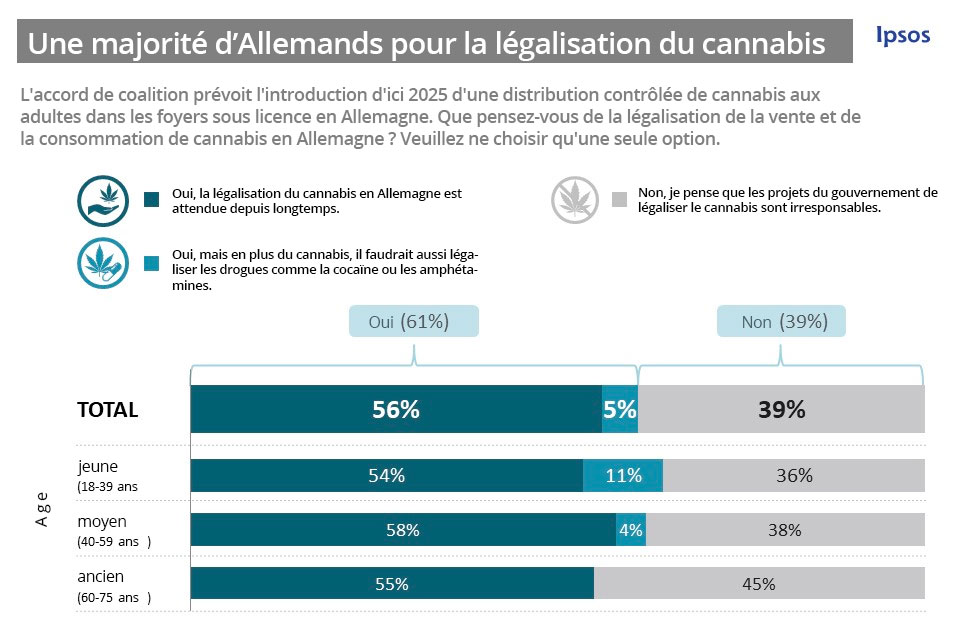 Sondage Ipsos en Allemagne