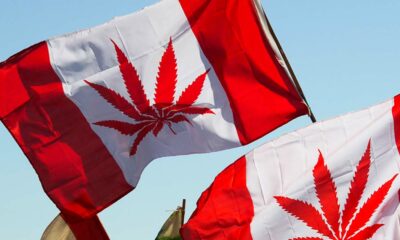 4 ans de légalisation du cannabis au Canada