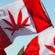 4 ans de légalisation du cannabis au Canada